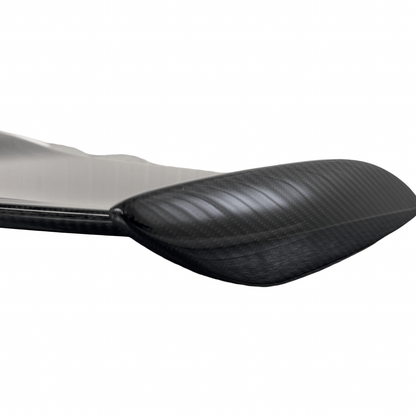 Mercedes AMG GTC GTR R190 C190 Roadster Static Carbon Spoiler Wing OEM - GERMAN PARTS 
