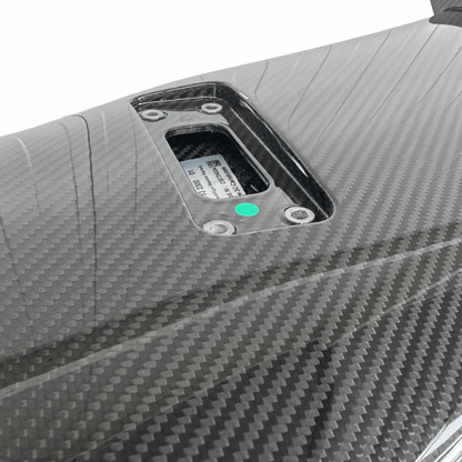 Mercedes AMG GTC GTR R190 C190 Roadster Static Carbon Spoiler Wing - GERMAN PARTS