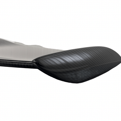 Mercedes AMG GTC GTR R190 C190 Roadster Static Carbon Spoiler Wing - GERMAN PARTS